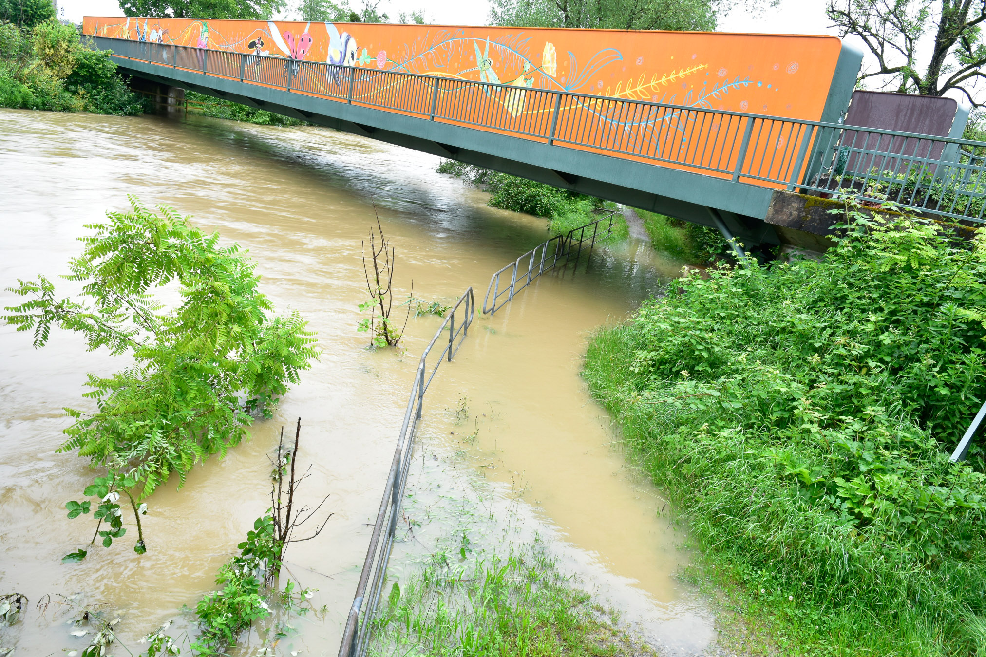 20240602080408 AOA0285